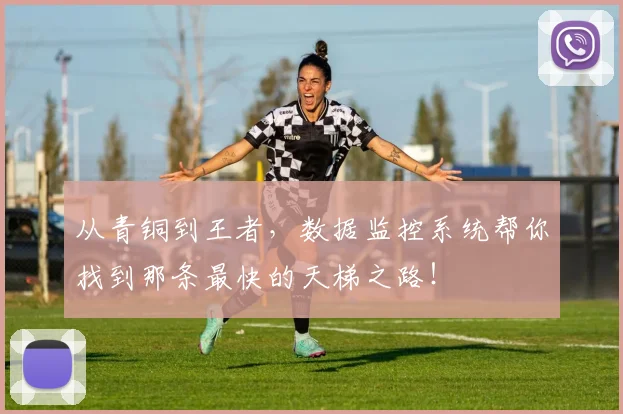 从青铜到王者,数据监控系统帮你找到那条最快的天梯之路!