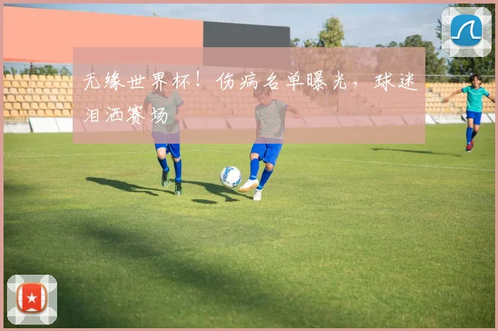 无缘世界杯!伤病名单曝光,球迷泪洒赛场